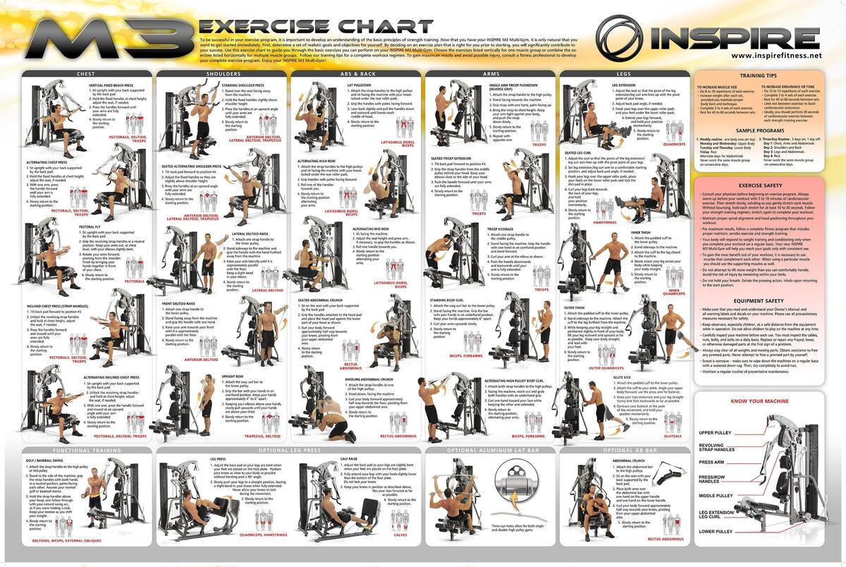 Weider Pro Weider Total Bodyworks 5000 Exercise Chart Printable Weider Pro Weider Total Body Workout Weider Weider Pro Weider Total Bodyworks 5000 Exercise Chart Printable Weider Pro Weider Total Body Workout Weider