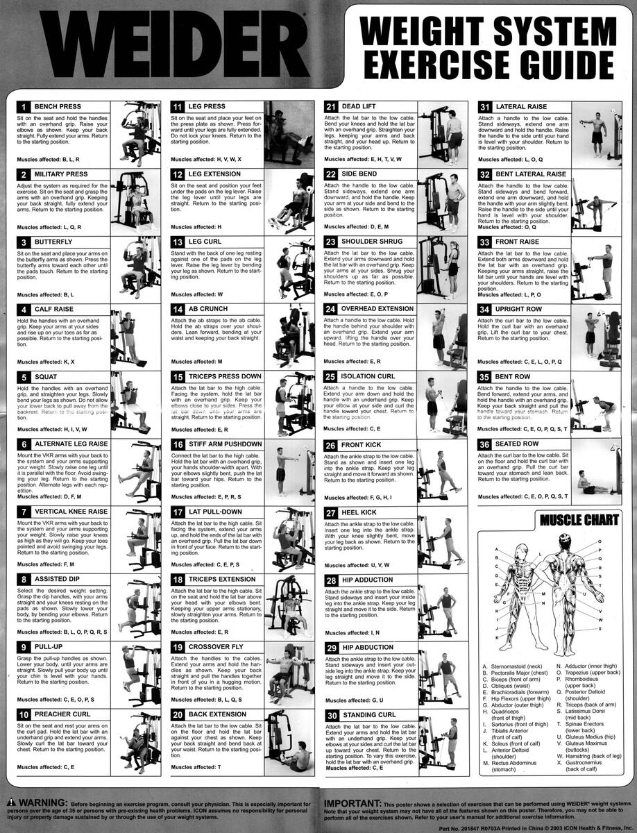 Weider Ultimate Total Gym Chart Weider Ultimate Total Gym Workout Cards Pdf Total Gym Excercise
