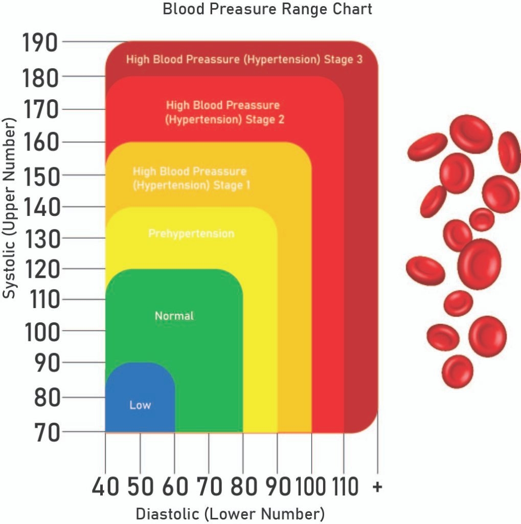 What Do Blood Pressure Readings Mean Elite Medical Training What Do Blood Pressure Readings Mean Elite Medical Training